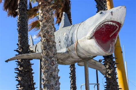 Jaws shark model installed at Oscars museum | The Straits Times