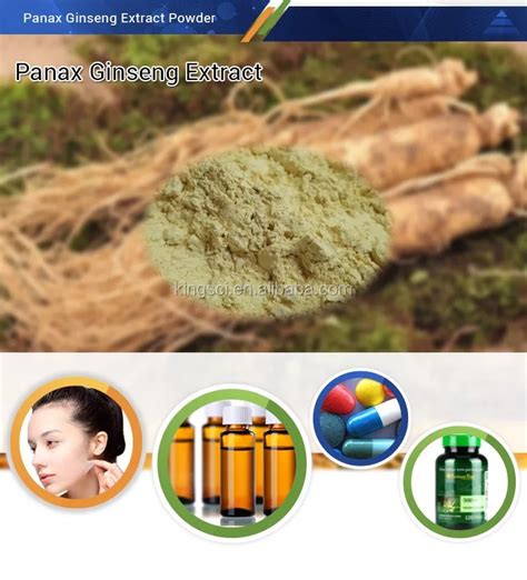 Ginsenosides 50 Panax Ginseng Extract Powder Panax Ginseng Extract