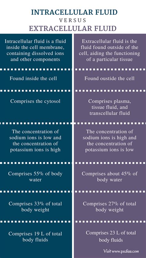 Intracellular And Extracellular Fluid Diagram