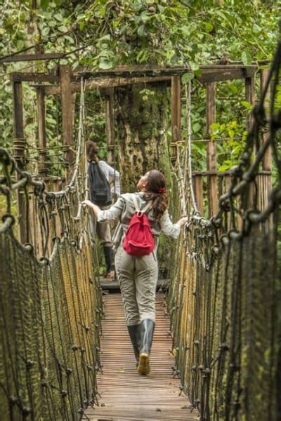 Where Is The Amazon Rainforest Located Rainforest Cruises