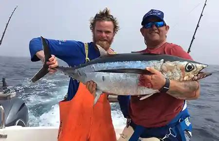 Go Offshore Tuna Fishing Cape Town Fishing Charters