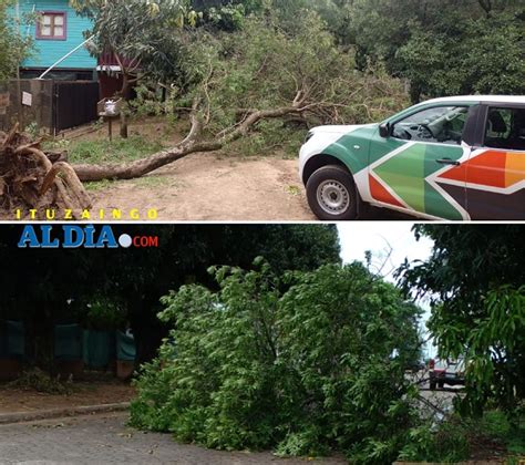 Fuerte Tormenta Con Vientos Derrib Rboles Y Ramas En La Ciudad R O