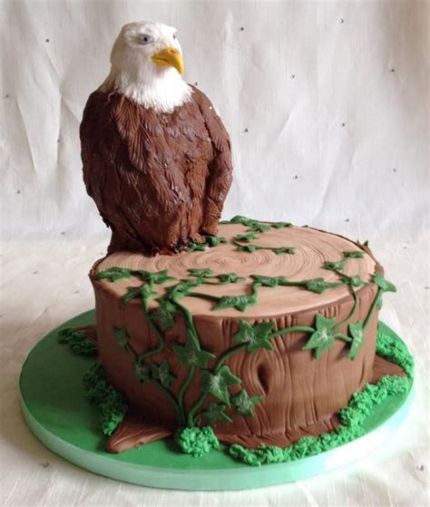 Eagle cake | Cupcake cakes, Birthday cake chocolate, Cake