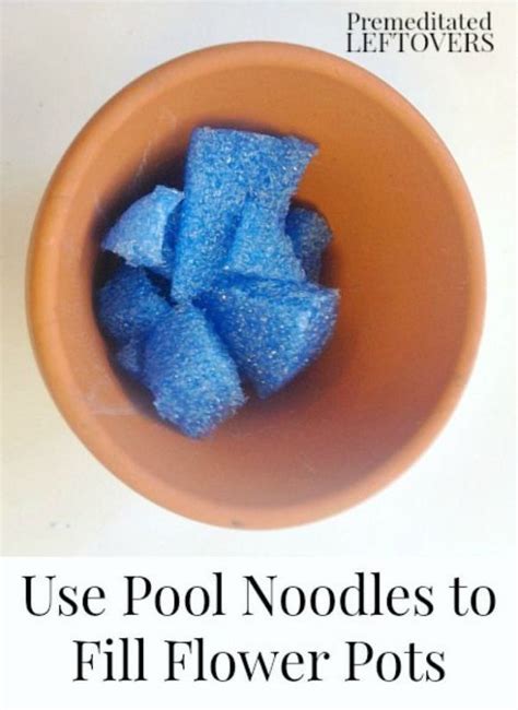 8 Pool Noodle Repurposing Ideas Pool Noodles Planting Flowers