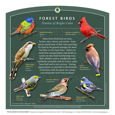 Pdns Bird Conservation Migratory Songbird Nesting Habitat Id Guide