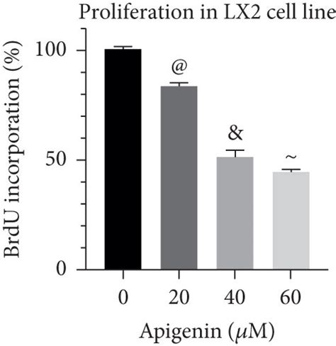 Effects Of Apigenin On Liver And Lx Cells Notes A The Cck Assay