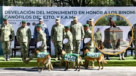 D A Del Binomio Canino As Es Como El Ej Rcito Y Fuerza A Rea Mexicana