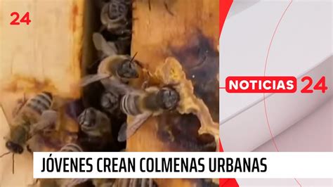 Jóvenes crean colmenas urbanas que evitan extinción de las abejas 24