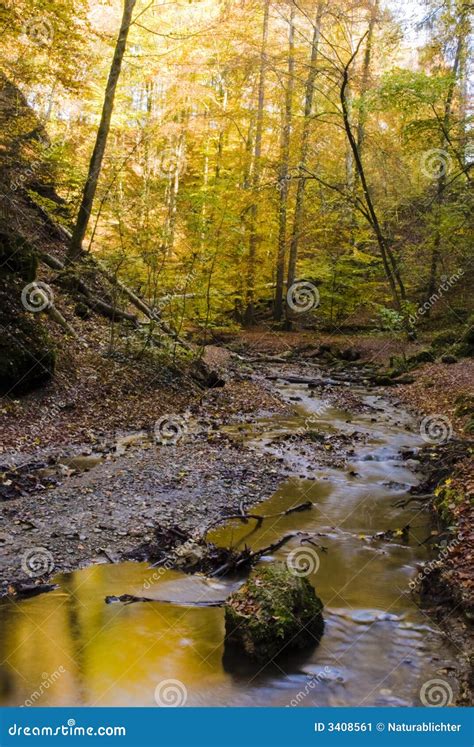 Autumn forest stream stock image. Image of peaceful, colourful - 3408561