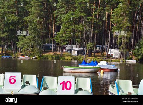 Campsite In The Forest By The Lake In A Summertime On The Lake There