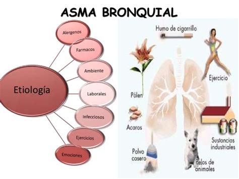 Cuadro Agudo De Asma Bronquial