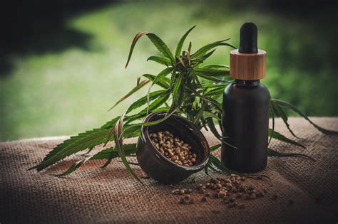 Unterschiede Zwischen Thc Und Cbd Knowblogs Net