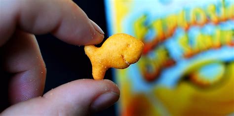 Goldfish flavors, ranked - Business Insider