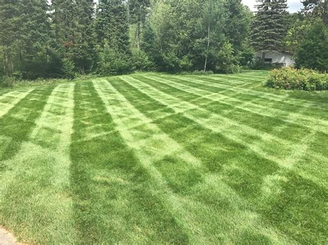 LAWN CARE | Fresh Cut