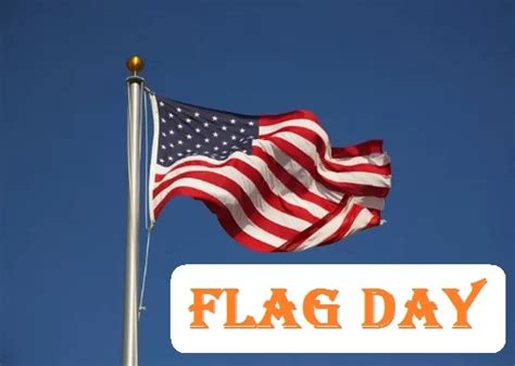 Flag Day 2024 A Day To Honor And Respect The National Flag Edudwar