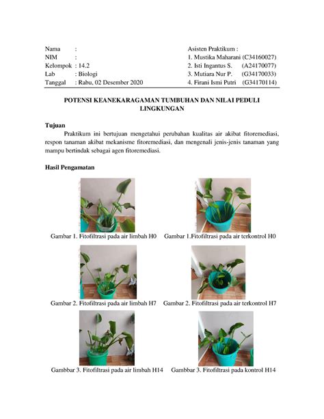 Laporan Praktikum Biologi Potensi Keanekaragaman Tumbuhan Nama