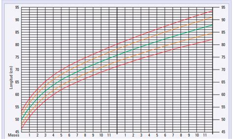 Percentil Infantil Talla Y Peso De Los Niños