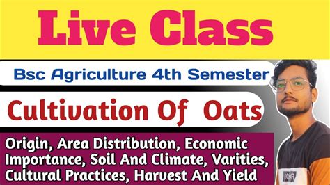 Cultivation Of Oat Crop Production Technology 2 Rabi Crop Bsc