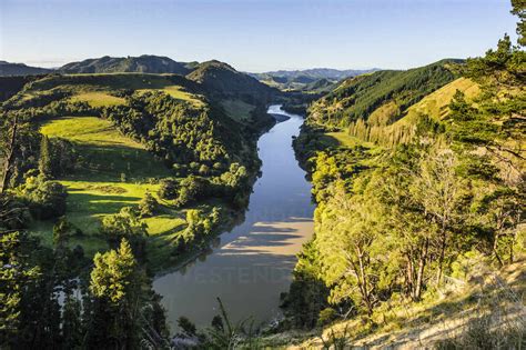 Whanganui River North Island New Zealand Stock Photo