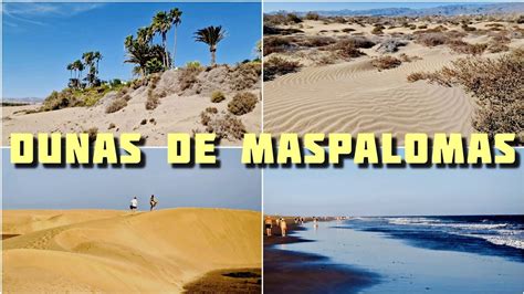 Dunas De Maspalomas Nature Reserve World S Biggest Gay Cruising