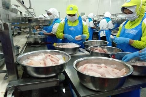 Ke Klaten Gubernur Jateng Ajak Belajar Kelola Tilapia Solopos