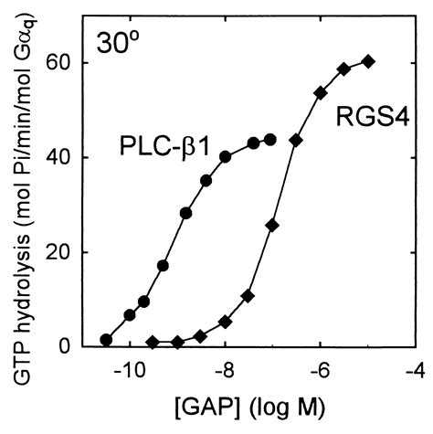 Rapid GTP Binding And Hydrolysis By Gq Promoted By Receptor And GTPase