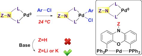 NiXantphos A Deprotonatable Ligand For Room Temperature Palladium