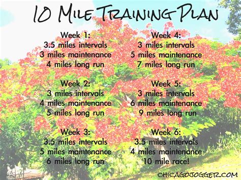 10 Mile Training Plan. - Chicago Jogger