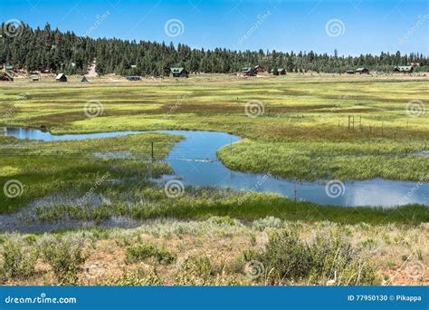 Landschaft Von Duck Creek Village Utah Stockfoto Bild Von Holz Wald