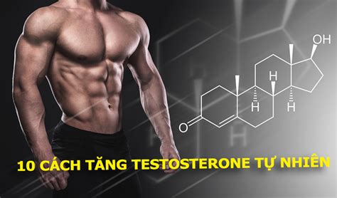 Làm Sao để Tăng Hoocmon Testosterone Cách Nhận Biết Testosterone Thấp Dinh Dưỡng Thể Hình