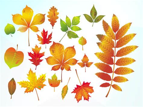 Free Vector Fall Leave Clip Art | Leaves vector, Autumn leaves, Free ...