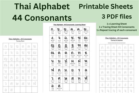 Printable Sheets Thai Alphabet Consonant Graphic By Designs By Vachira