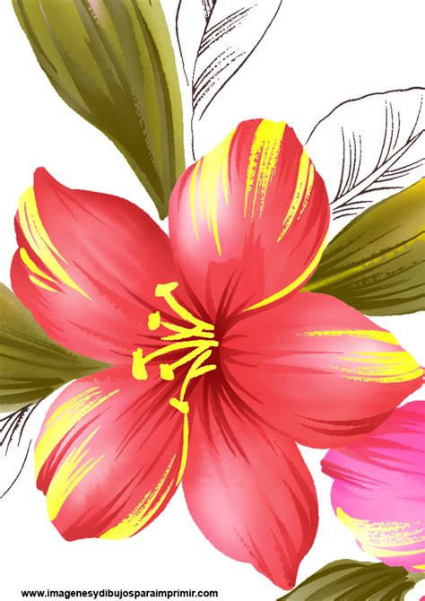 Dibujos De Flores Imagenes Y Dibujos Para Imprimir