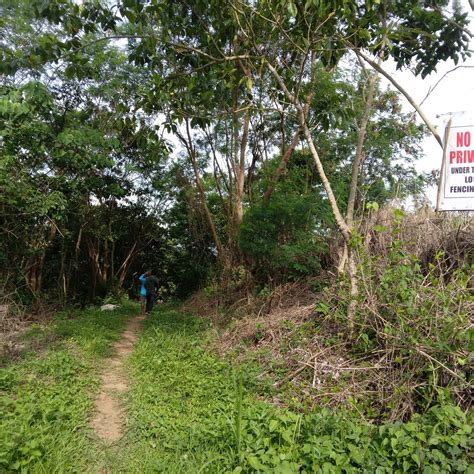 Sqm Residential Farm Lot For Sale In Tanay Rizal Near Martessem