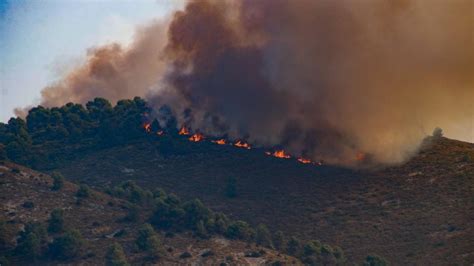 Incendios En Alicante La Generalitat Tramita Ayudas Para Los