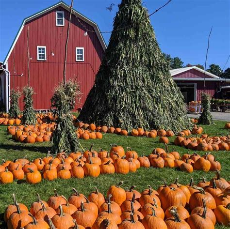 Pumpkin Patches & Farms Around Rochester - Day Trips Around Rochester, NY