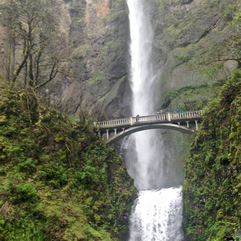 District Meetings — Oregon Al-Anon/Alateen