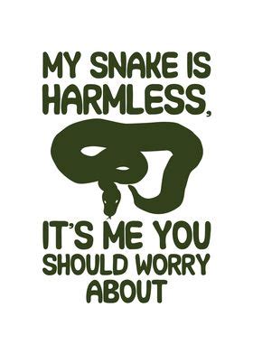 My Snake Is Harmless Poster By Lukes Pixel Studio Displate