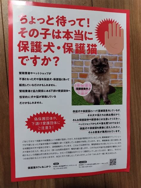 それって保護犬保護猫？ それって保護活動って言うの？ 翔べ！肉球のなかま達