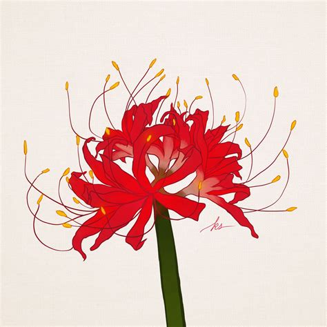 Lycoris Radiata By Scissors N Bacterias On Deviantart