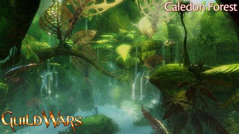 Guild Wars Longplay Lore 0194 Caledon Forest Guild Wars 2 YouTube