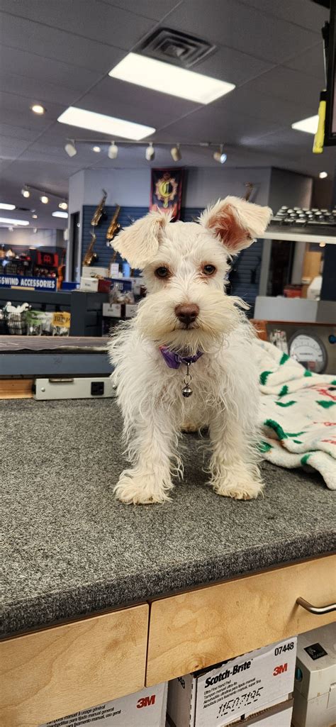 larsen's music okc 3