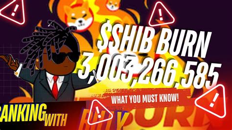 Shiba Inu News 3B SHIB Burn Sparks OptimismWhats The Next Step For