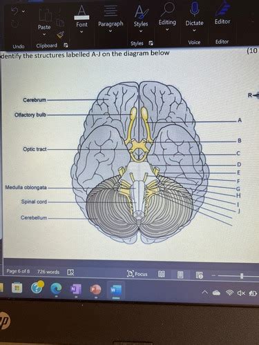 Labelling Anatomy Flashcards Quizlet