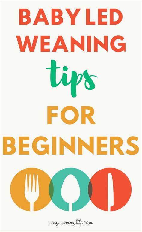 5 Baby Led Weaning Tips For Success - Easy Mommy Life