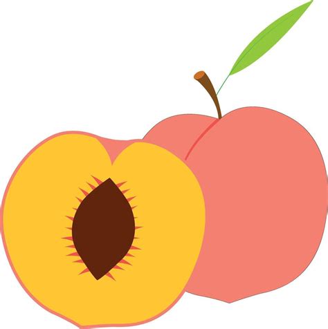 Fresh Juicy Peach Icon Tasty Ripe Fruit Sticker Healthy Food Concept