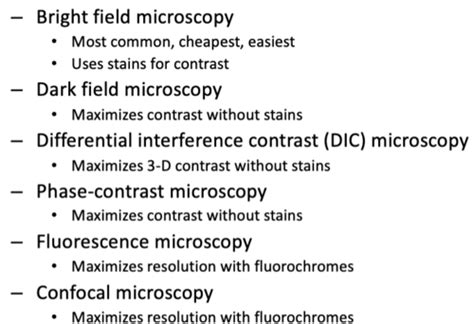 Microbiology Exam 1 Flashcards Quizlet