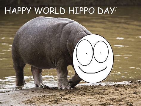 Happy World Hippo Day By Jamiepb2013 On Deviantart