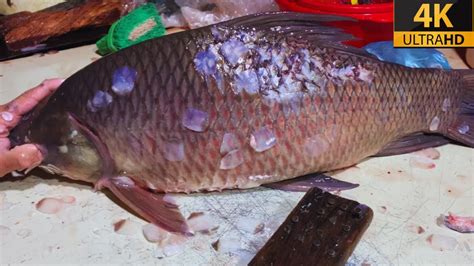 Amazing Giant Katla Carp Fish Cutting Live In Fish Market Fastest Fish