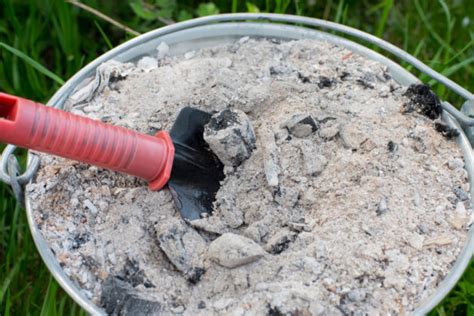 Comment Utiliser De La Cendre De Bois Au Jardin Paroles De Jardiniers